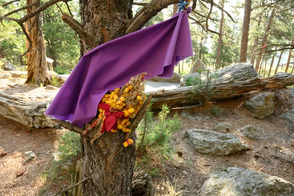 Фиолетовая Ткань Висящая Дереве Памятника Дьявольской Башне — стоковое фото
