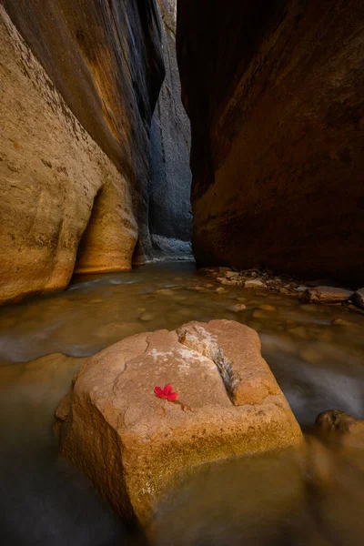 Agua Corre Alrededor Roca Hoja — Foto de Stock