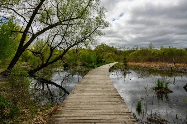 Board Walk Marsh Par Temps Couvert Minnesota Jour — Photo
