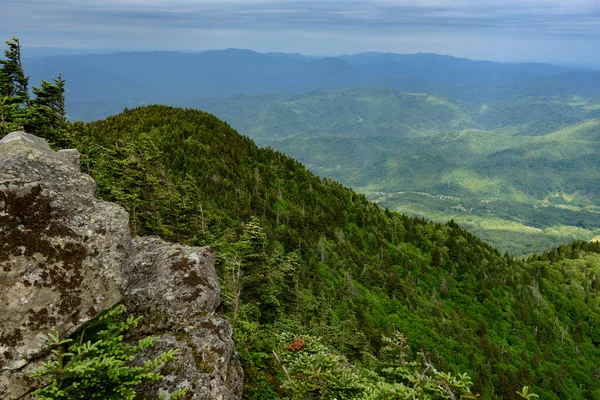 Głaz Nad Gęstym Lasem Doliną Smokies — Zdjęcie stockowe