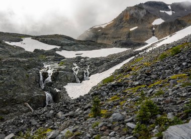 Washington dağlarındaki Fryingpan Geçidi 'nden Sis Noktası