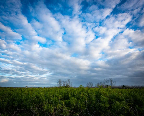 Mraky Pruh Přes Modré Nebe Nad Pobřežní Prérie Everglades — Stock fotografie