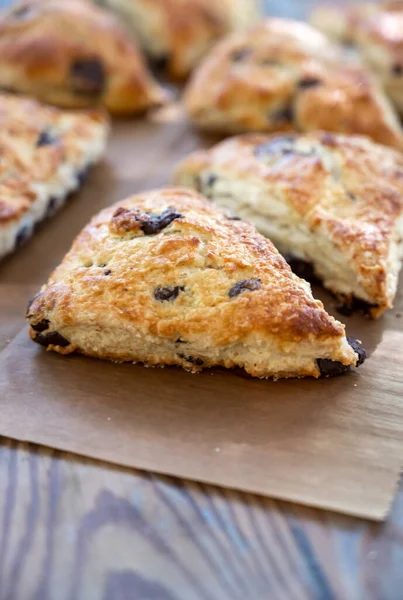 Borde Chocolate Chip Scone Papel Marrón —  Fotos de Stock