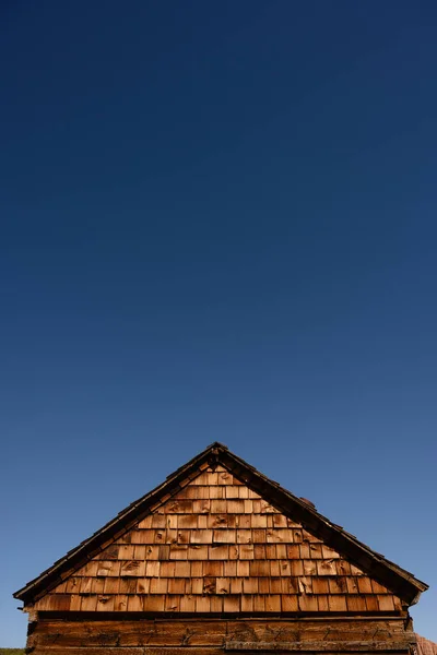 Culebrilla Cielo Azul Imagen Vertical — Foto de Stock