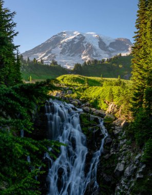 Myrtle Şelaleleri CLiff 'in üzerinde, arka planda Rainier Dağı var.