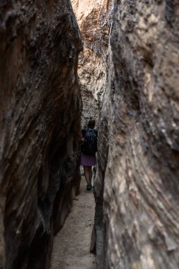 Capitrol Resifi 'nin havza bölgesinde Kadın Dar Slot Kanyonunda Yürüyor