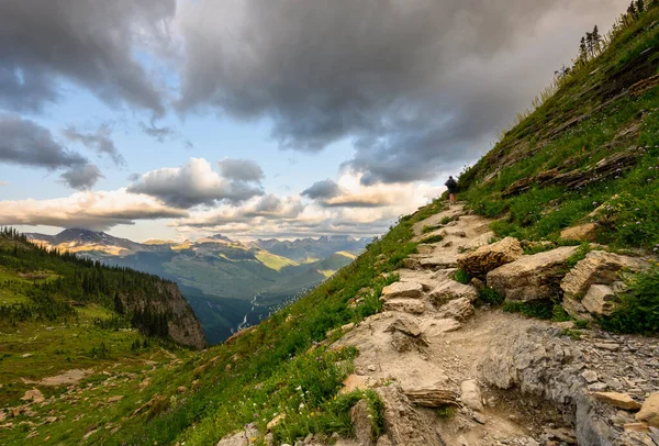Frau Besteigt Spektakulärem Sommertag Rocky Trail Neben Wildblumen Montana Wildnis — Stockfoto