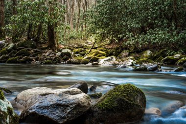 Smokies 'deki Hayat Nehrinde Kayalar Güçlü Duruyor