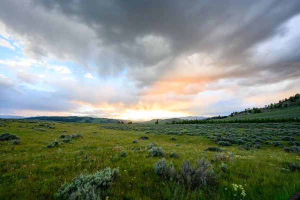 Après Midi Lumière Disparaît Coucher Soleil Dans Nature Sauvage Yellowstone — Photo