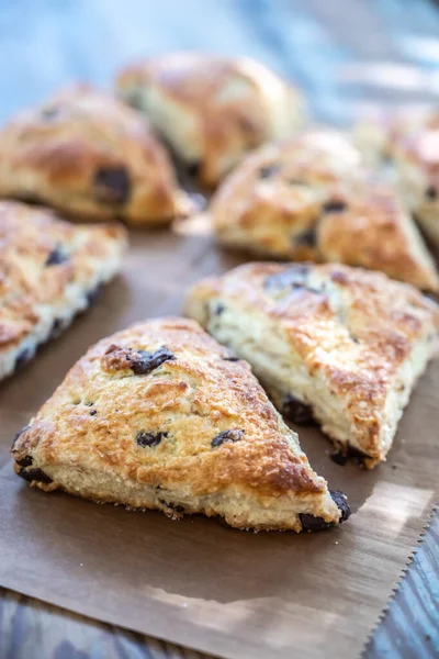 Chocolate Chip Scone Destaca Del Grupo Papel Pergamino —  Fotos de Stock