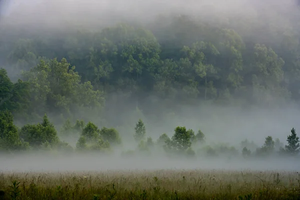 Niebla Abraza Bosque Través Los Campos Cades Cove —  Fotos de Stock