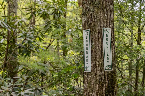 Park Boundary Tree Wzdłuż Krawędzi Parku Narodowego Great Smoky Mountains — Zdjęcie stockowe