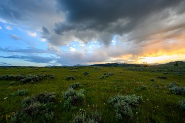 Yellowstone 'da Fırtına Altında Güneş Işıldıyor Bulutlu Tarlalarla