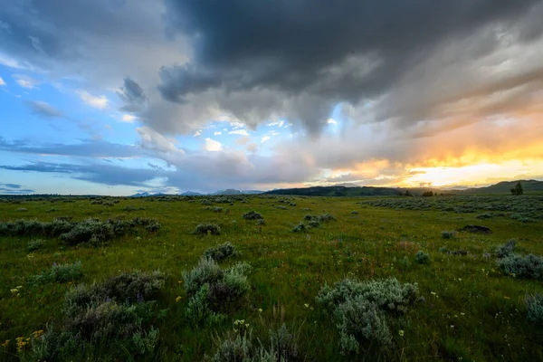 Soleil Brille Sous Les Nuages Tempête Avec Champ Yellowstone — Photo
