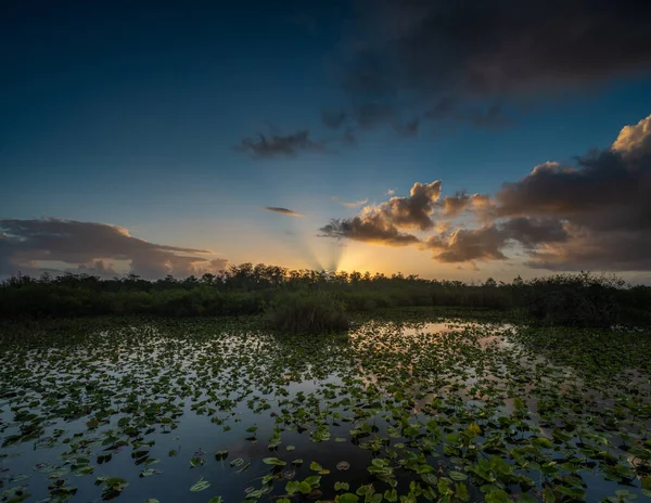 Rayos Sol Cortan Través Horizonte Sobre Everglades Amanecer —  Fotos de Stock