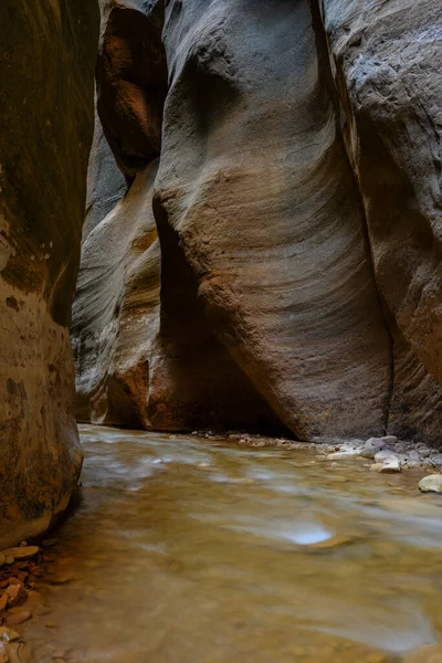 Der Virgin River Erodiert Weiter Durch Den Engen Canyon — Stockfoto