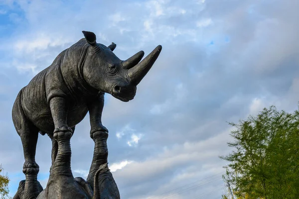 San Antonio Ηνωμένες Πολιτείες Της Αμερικής Δεκεμβρίου 2019 Balancing Rhino — Φωτογραφία Αρχείου