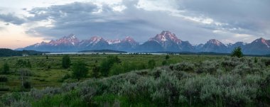 Yeşil Bilge Fırça, Güneş doğarken Büyük Teton Dağları 'nın altındaki Söğüt Düzlüklerini Aralıyor