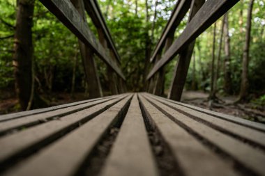 New River Vadisi Ulusal Parkı 'ndaki Trail Köprüsü Düşük Açı Görünümü
