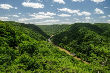 New River Vadisi Ulusal Parkı 'ndaki Dar Vadiyi Gölgeler kaplıyor