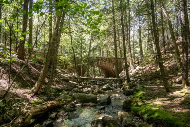 Acadia Ulusal Parkı 'ndaki Çakıl Taşı Köprüsü' nden geçen dere.