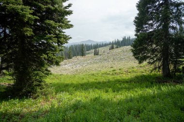 Forellen Tepesi Geyik Havzasına Bakış Grand Teton Ulusal Parkı 'nda Bölünme