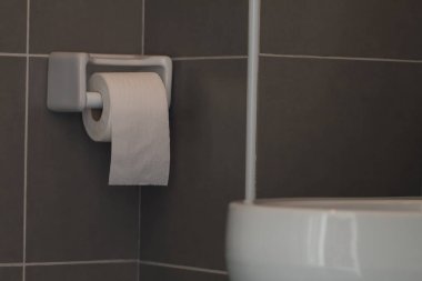 Tuvalet kağıdı, dördüncüde beyaz yuvarlak rulo, banyoda duvarın yanına konmuş. Resmin biraz berraklığı var..