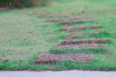 Kırmızı taş yol evin önündeki yeşil çimenlikte. Görüntü kısmen açık.