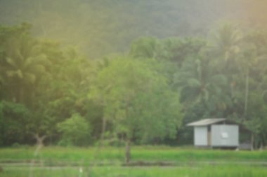 Bulanık görüntüler, vadinin ortasında bir kulübe, ağaçların yanında ve turuncu ışıklı.