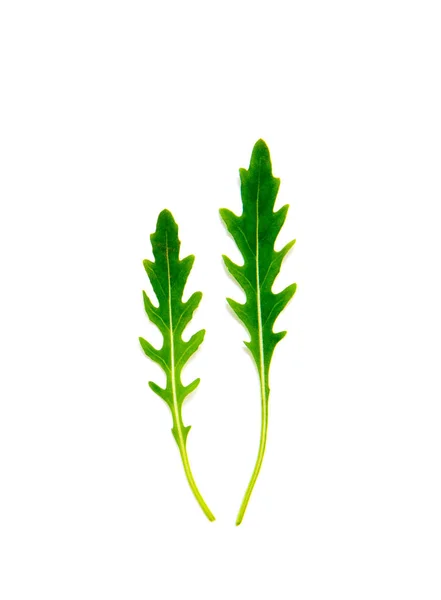 Green Arugula Leaf Isolated White — Stock Photo, Image