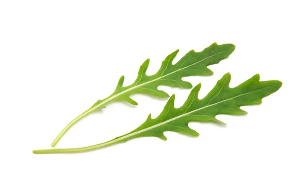 Groene Arugula Blad Geïsoleerd Wit — Stockfoto