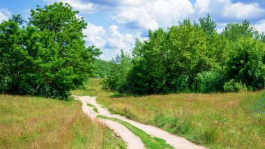 Ormanda ve gökyüzünde köy yolu