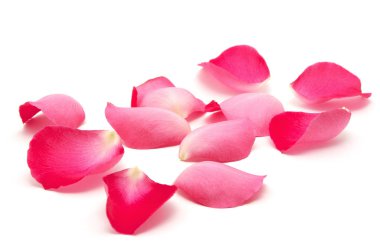 Beyaz arka planda gül yaprakları