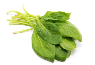 Beyaz arkaplanda ıspanak