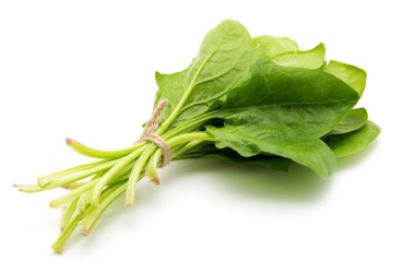 Beyaz arkaplanda ıspanak