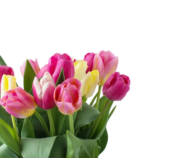 Mischung Aus Tulpenblüten — Stockfoto