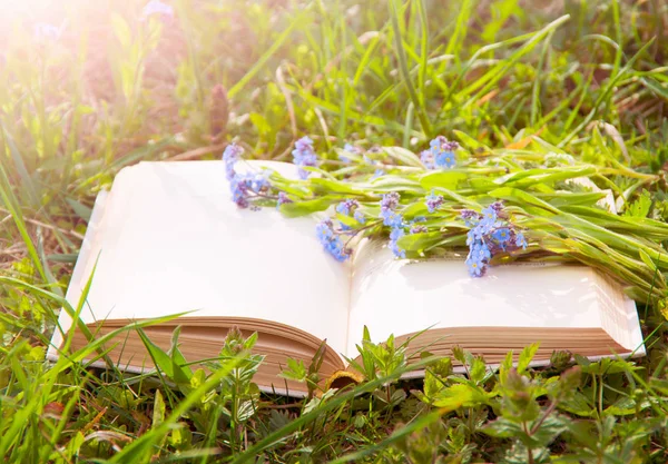 Libro Abierto Sobre Hierba Verde Con Flores Cerca — Foto de Stock