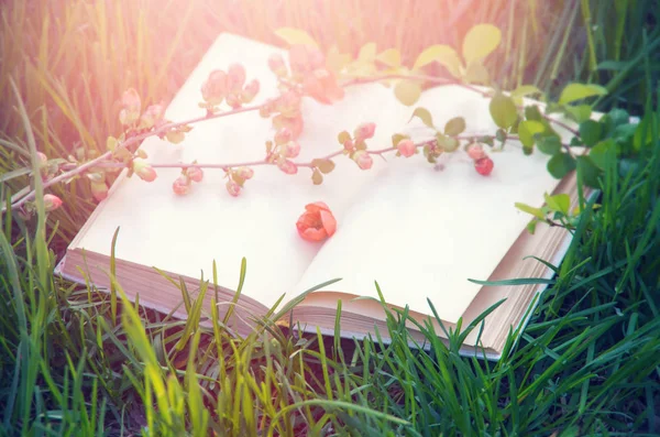 Çiçekli Yeşil Çimenler Üzerine Açık Bir Kitap — Stok fotoğraf