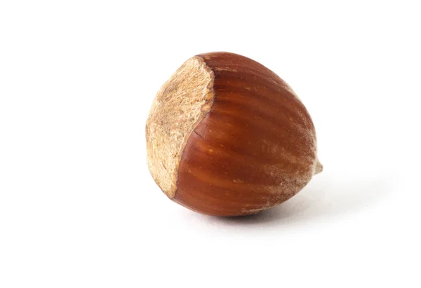 Hazelnuts White Background — Stock Photo, Image