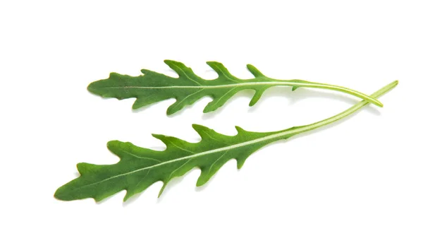 Groene Arugula Blad Geïsoleerd Wit — Stockfoto