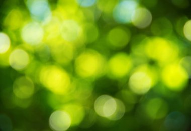 Doğal bulanık arkaplan dokusu