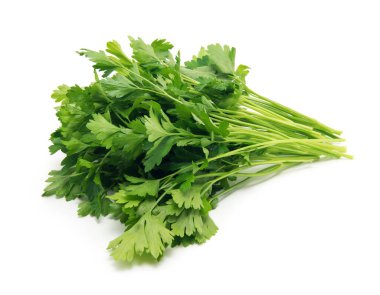 Beyaz arkaplanda taze maydanoz