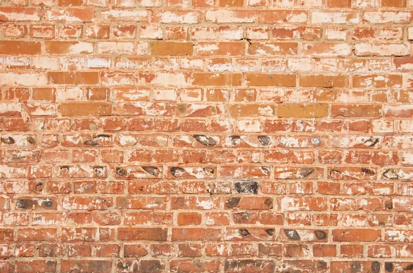 Grunge Muur Achtergrond Textuur — Stockfoto