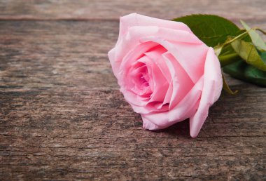 Ahşap bir masada duran pembe gül. Eski