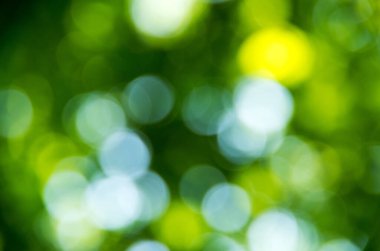 Doğal bulanık arkaplan dokusu