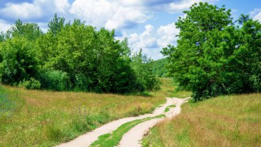 Ormanda ve gökyüzünde köy yolu
