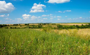 Çimenler ve mükemmel gökyüzü.