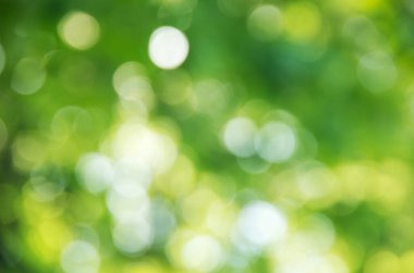 Doğal bulanık arkaplan dokusu