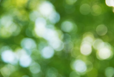 Doğal bulanık arkaplan dokusu