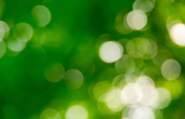 Doğal bulanık arkaplan dokusu